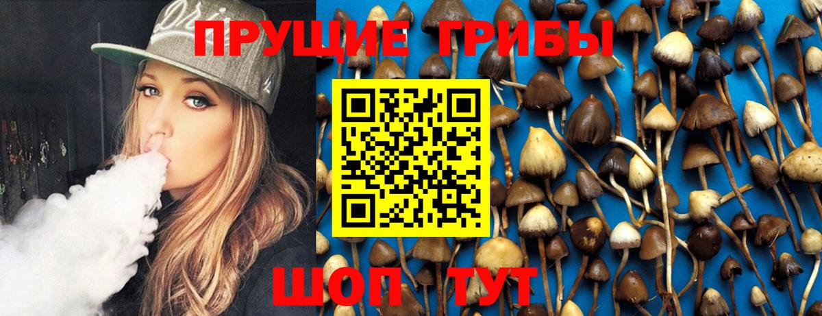 Псилоцибиновые грибы Psilocybe Мирный